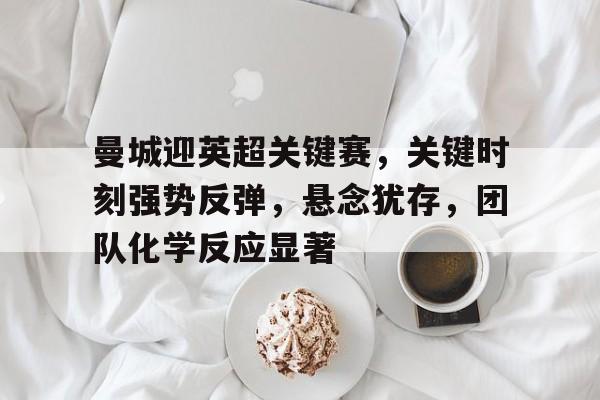 曼城迎英超关键赛，关键时刻强势反弹，悬念犹存，团队化学反应显著的简单介绍-kaiyun